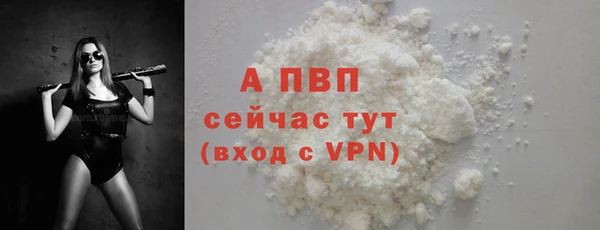 сатива Пересвет