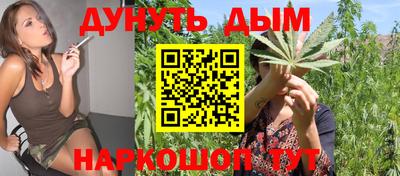 ALPHA PVP Камышлов