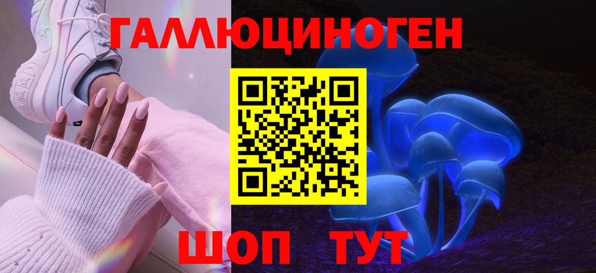 Кондопога  Псилоцибиновые грибы Psilocybe  Галлюциногенные грибы GOLDEN TEACHER  Вход с VPN 